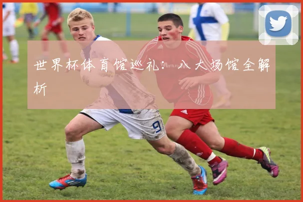 世界杯体育馆巡礼:八大场馆全解析