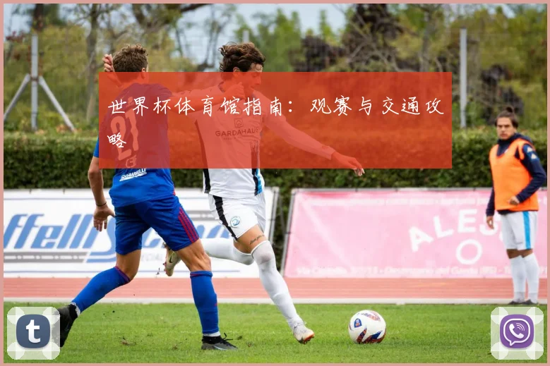 世界杯体育馆指南:观赛与交通攻略